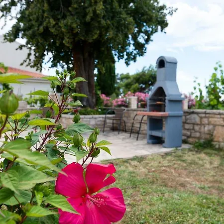 Charming Stone By The Sea Holiday home *